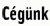 Cgnk